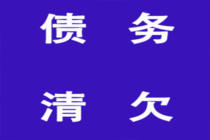 泰安借条担保相关法律咨询及担保人责任解析